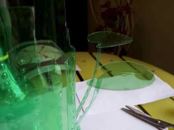 Waste Renovation: Sprite Bottle Vase