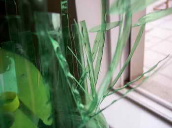 Waste Renovation: Sprite Bottle Vase