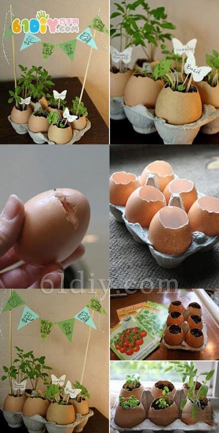 Handmade egg shell potted