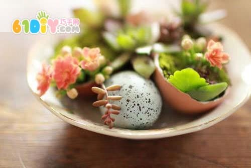 Handmade egg shell potted