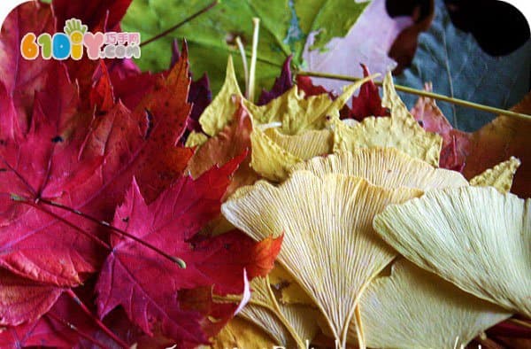 Leaf Mask DIY Production