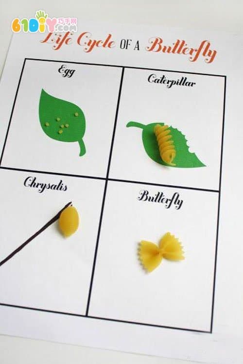 Pasta fun handmade - the life of a butterfly