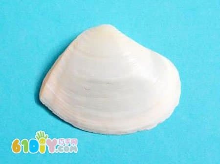 Shell Handmade Crafts