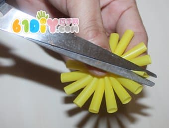 Straw Flower