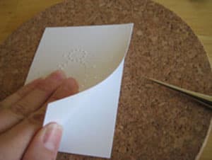 Halloween spider card making