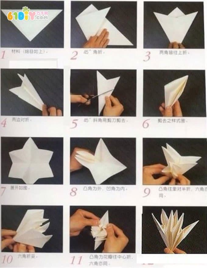 Lily Origami Graphic Tutorial