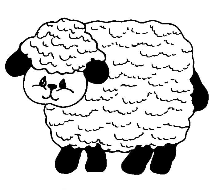 16 Lamb Color Map