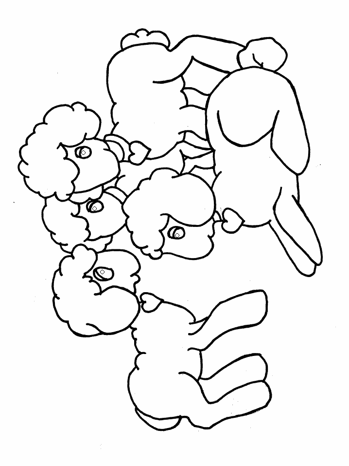 16 Lamb Color Map