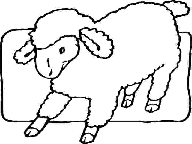 16 Lamb Color Map