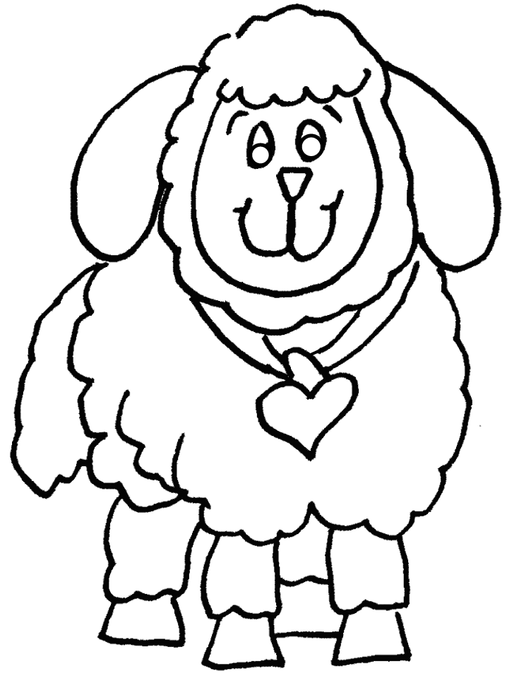 16 Lamb Color Map