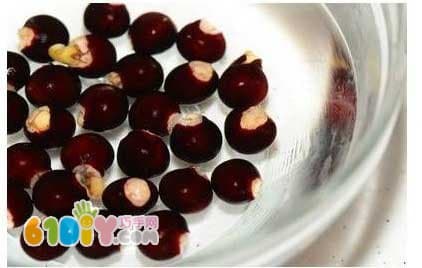 How to Grow a Longan Potted Plant
