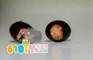 How to Grow a Longan Potted Plant