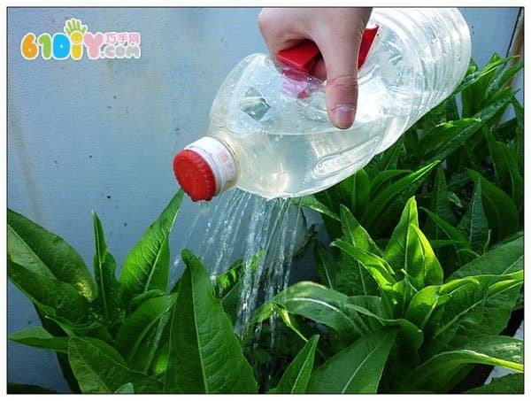 Plastic bottle waste making watering can