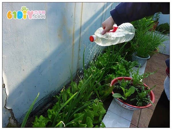 Plastic bottle waste making watering can