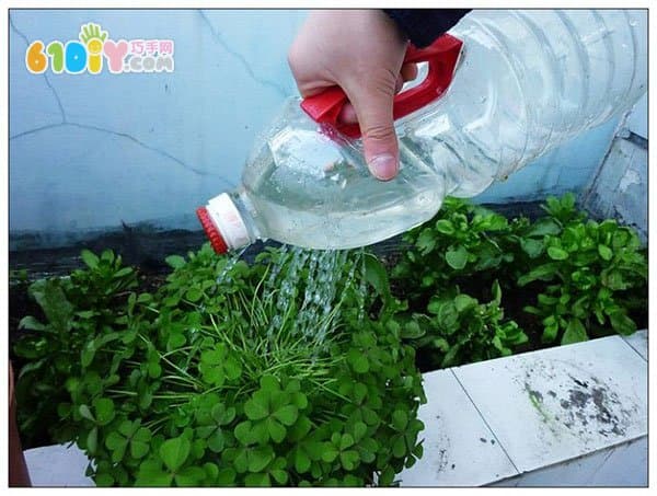 Plastic bottle waste making watering can