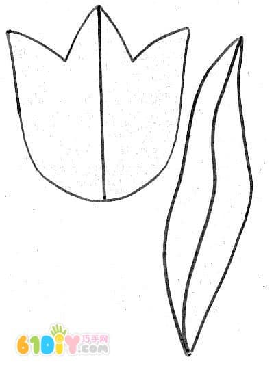 3D Tulip Template