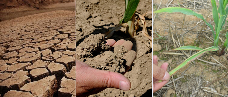 Soil consolidation