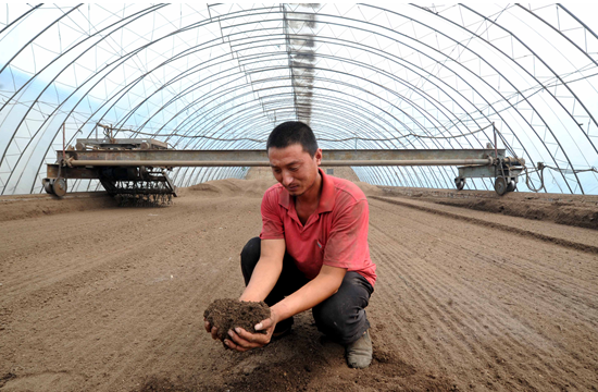 Fertilizer fermentation