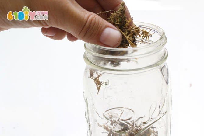 Making a glass bottle lantern like a forest