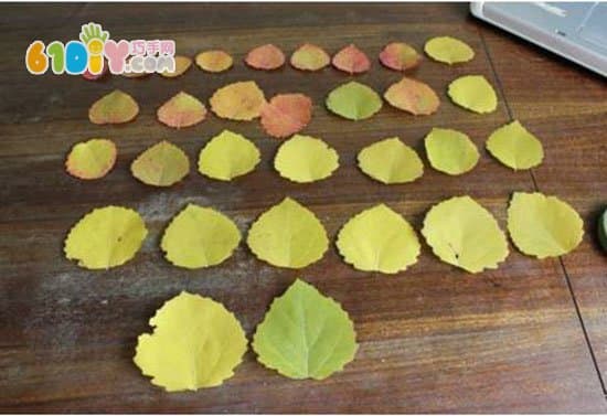 Autumn green hand made use of leaves to make roses