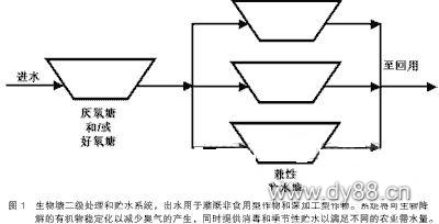 Water reuse treatment technology and water quality standards