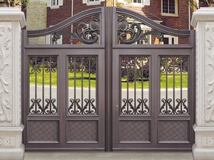 Security door