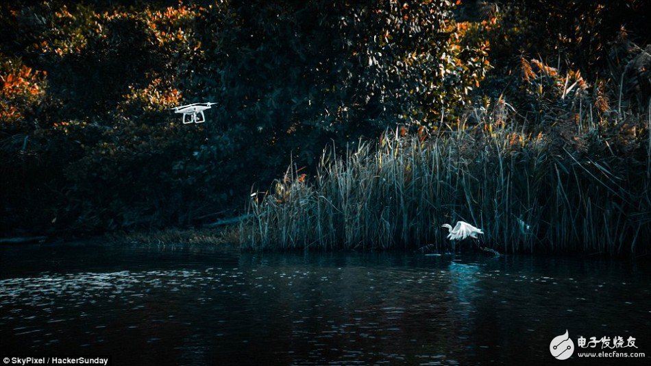 The world's best drone photography