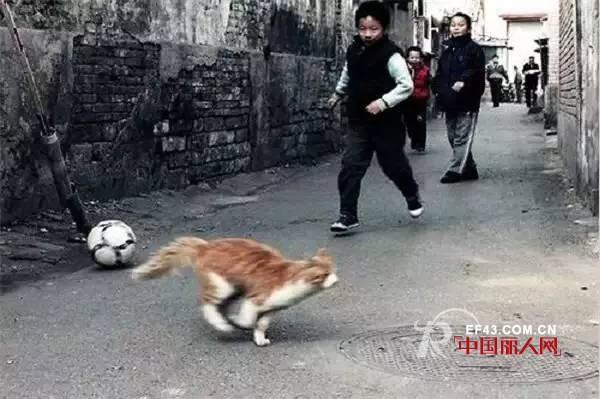 é˜¿å°¤