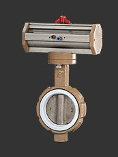 'Soft seat butterfly valve