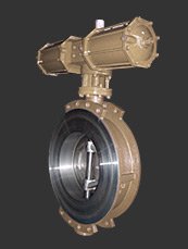 'Hard seal butterfly valve