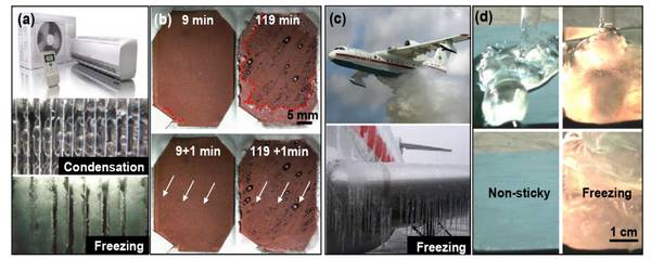 Analysis of biological prototype, mechanism and construction principle of self-driving nano-bionic interface of condensed droplets from Suzhou Nano