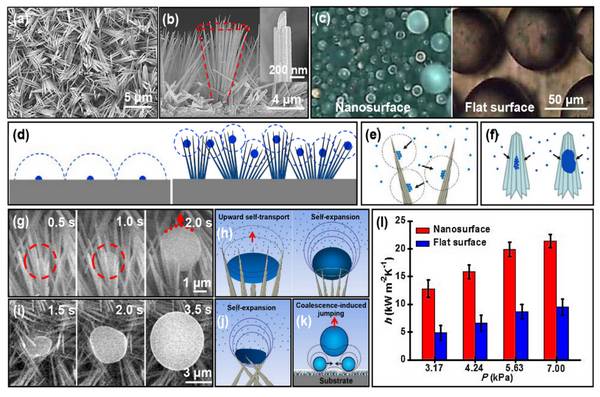 Analysis of biological prototype, mechanism and construction principle of self-driving nano-bionic interface of condensed droplets from Suzhou Nano