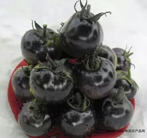 Black tomato
