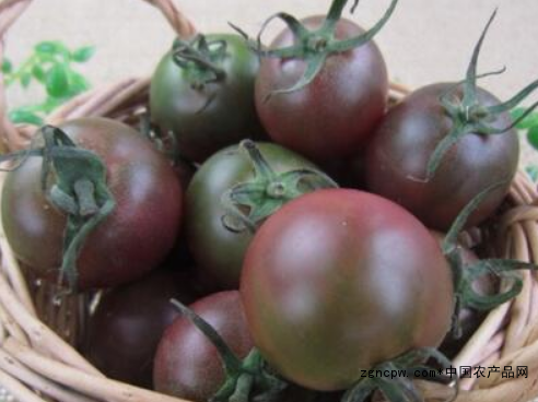 Black tomato