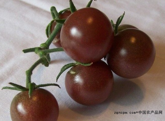 Black tomato