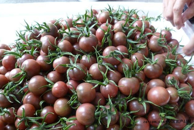 Black tomato