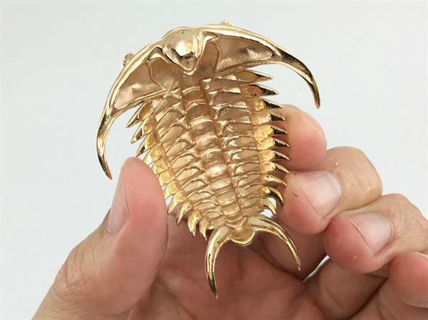 3D printing helps scientists study ancient creature trilobites