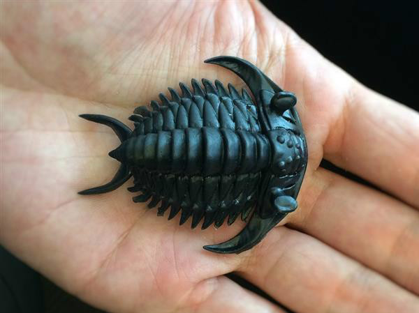 3D printing helps scientists study ancient creature trilobites