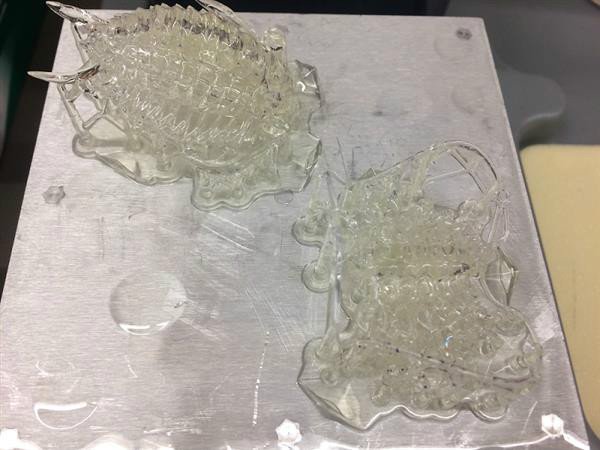 3D printing helps scientists study ancient creature trilobites
