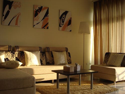 Simple American furniture design with a modern and exotic beauty