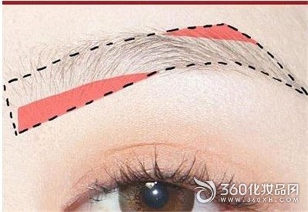 Korean makeup, royal sister, rough eyebrow makeup, eyebrow color, eyebrows, a word eyebrow,