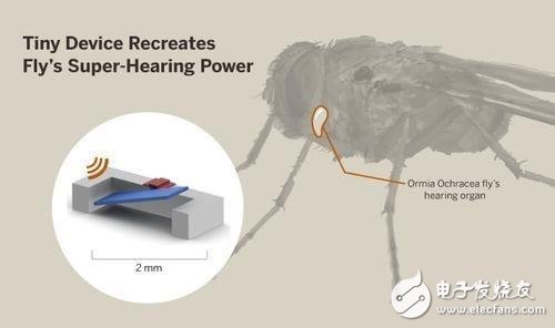 Intelligent battery-free hearing aid design that mimics the flies hearing system