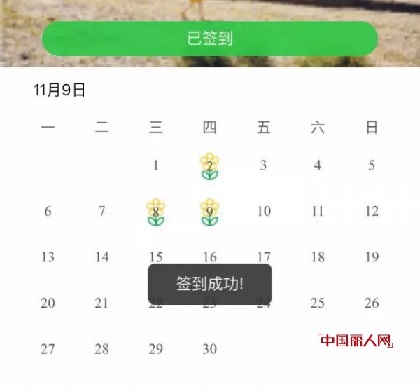 FEiç¤¾åŒº | è½æ—¥ç†”é‡‘ï¼Œé£žé¸Ÿå½’æž—