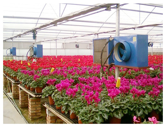 Gardening greenhouse heating scheme