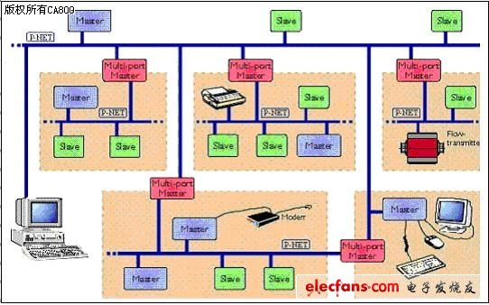 P-NET multi-network structure