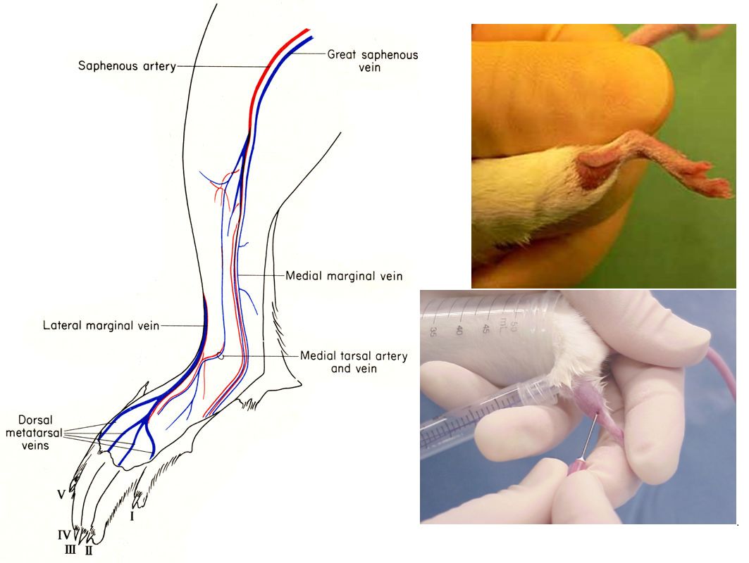 Figure 3.jpg