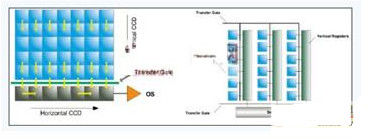 CCD internal structure diagram