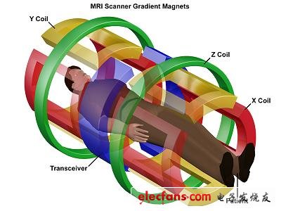 Positional relationship between patient and MRI coil