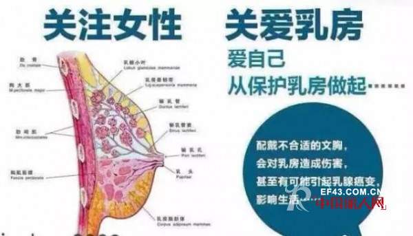 æŠ¤æ±ä¸€å·æ™ºèƒ½å†…è¡£ çœŸæ­£ä¿æŠ¤ä½ çš„ä¹³æˆ¿å¥åº·