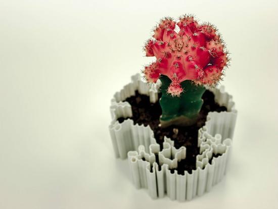 The summer solstice has arrived, a group of small fresh 3D printed potted plants